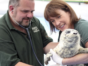 Hope - Schutzengel der Wildtiere