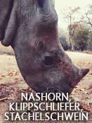 Nashorn, Klippschliefer, Stachelschwein – Folge 2