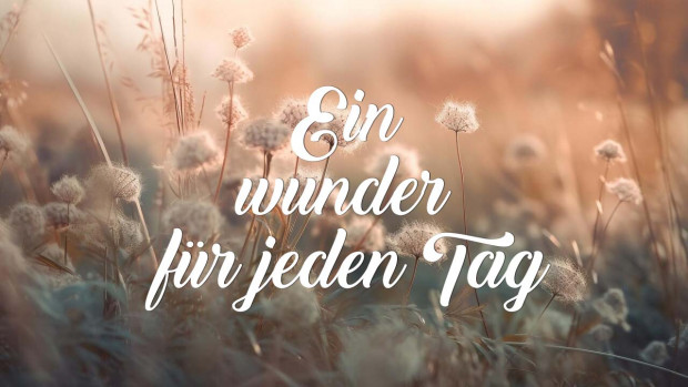 Ein Wunder für jeden Tag - Fall nicht drauf rein! (Folge 498)