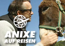 ANIXE auf Reisen - Algarve mit Michael Roll