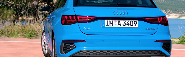 Anixe auf Rädern - Audi & Seat