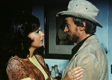 Ein Käfer Auf Extratour Stream