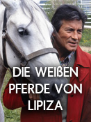 Die weißen Pferde von Lipiza
