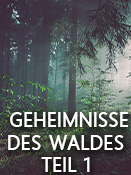 Geheimnisse des Waldes Teil 1