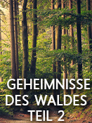 Geheimnisse des Waldes Teil 2