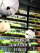 Nordische Gewässer & Städte