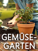 Gemüsegarten