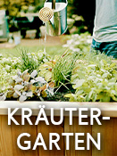 Kräutergarten