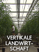 Vertikale Landwirtschaft