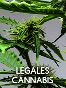 Legales Cannabis