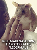 Breitmaulnashorn, Hamsterratte, Fledermaus – Folge 10