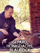 Gepard, Honigdachs, Blaubock – Folge 11